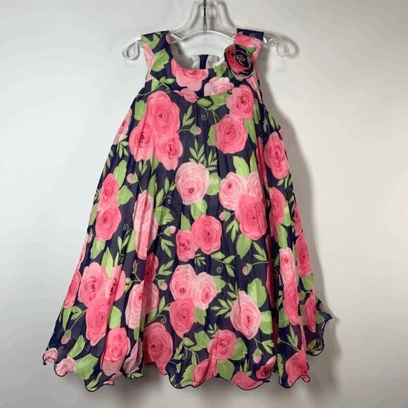 American Princess Layered Rose Print Dress Size 2T - Picture 1 of 7